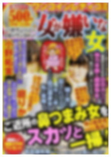 レディースコミックイメージ